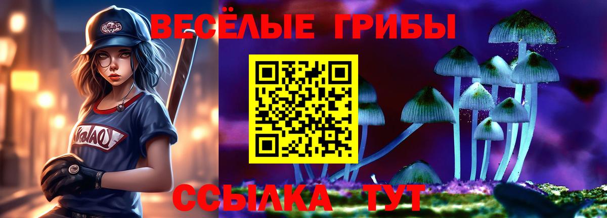 Выборг  Псилоцибиновые грибы прущие грибы  Галлюциногенные грибы Cubensis  Вход с VPN 